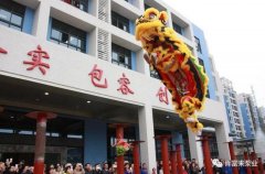 醒狮贺岁，半岛网站-Ban岛在线官网-半岛(中国)2019年开工大吉