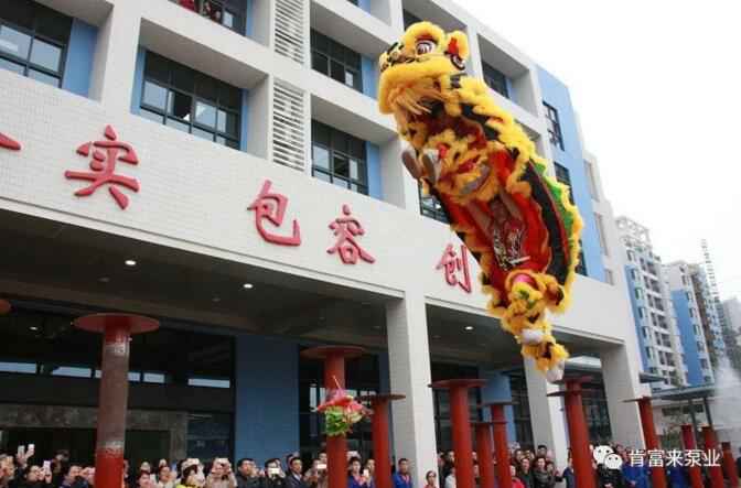 醒狮贺岁，半岛网站-Ban岛在线官网-半岛(中国)2019年开工大吉